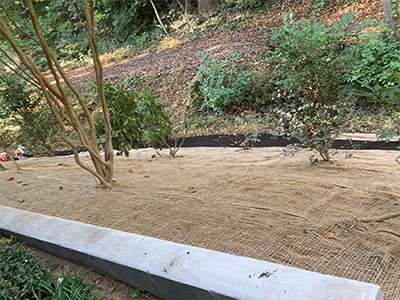 Drainage, Annandale, VA
