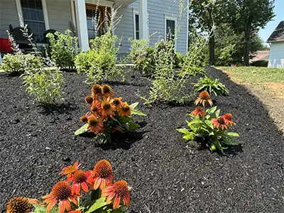 Gardening & Landscape Services, Fairfax, VA