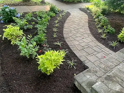 Plant Care Service, Annandale, VA