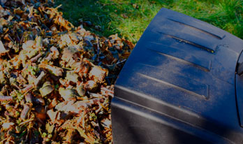 Cleanup & Mulching