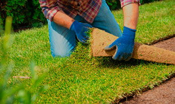Seeding & Sod & Remediation