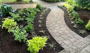 Plant Care